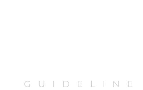Airlines Guideline